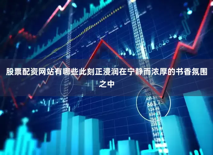 股票配资网站有哪些此刻正浸润在宁静而浓厚的书香氛围之中