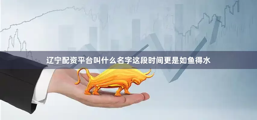 辽宁配资平台叫什么名字这段时间更是如鱼得水