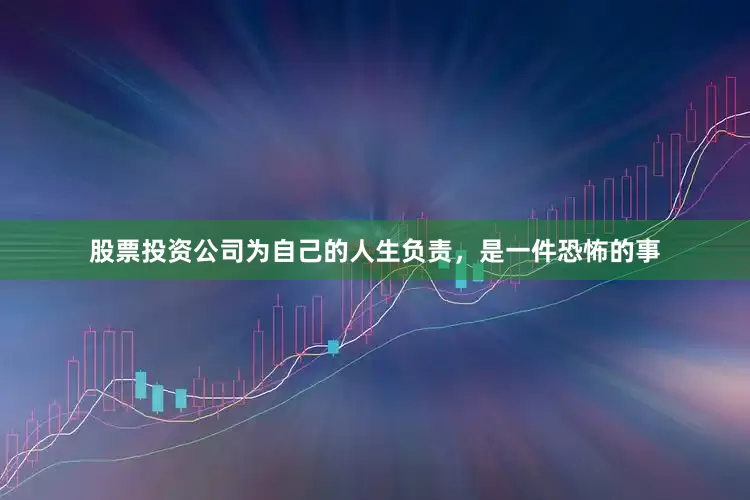 股票投资公司为自己的人生负责，是一件恐怖的事