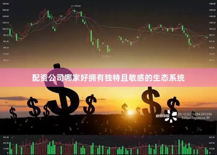 配资公司哪家好拥有独特且敏感的生态系统